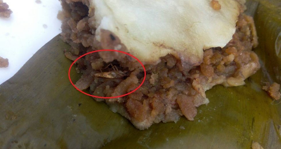 11 Disgusting things discovered  in Infopark Cochin restaurant foods :